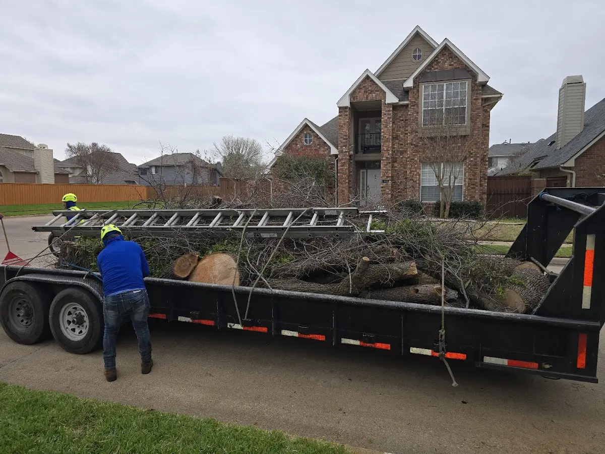 Expert Tree Fertilization with proper safety equipment in Nye